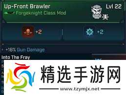 无主之地4火伤流亚蒙怎么玩