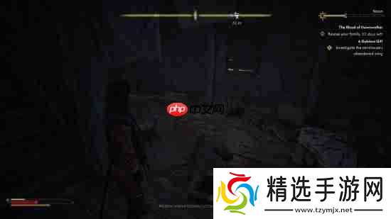 太像《巫师3》!前CDPR制作人新作《黎明行者之血》获玩家认可