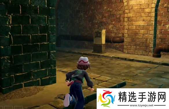 《宝可梦传说ZA》挑衅技能位置介绍