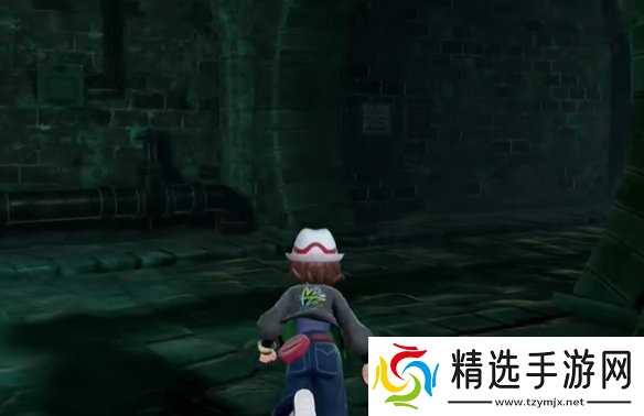 《宝可梦传说ZA》攀瀑技能位置介绍