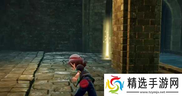 《宝可梦传说ZA》攀瀑技能位置介绍