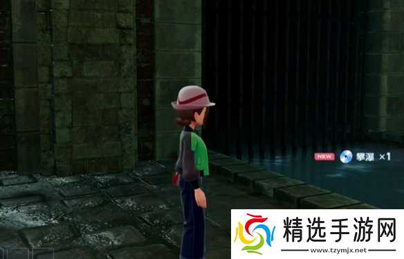 《宝可梦传说ZA》攀瀑技能位置介绍