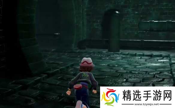 《宝可梦传说ZA》挑衅技能位置介绍