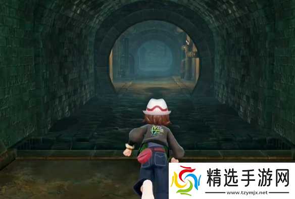 《宝可梦传说ZA》攀瀑技能位置介绍