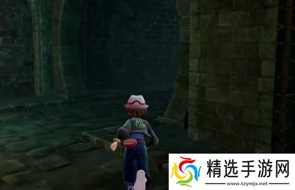 《宝可梦传说ZA》挑衅技能位置介绍