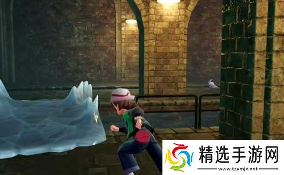 《宝可梦传说ZA》攀瀑技能位置介绍