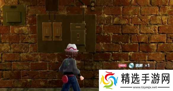 《宝可梦传说ZA》挑衅技能位置介绍