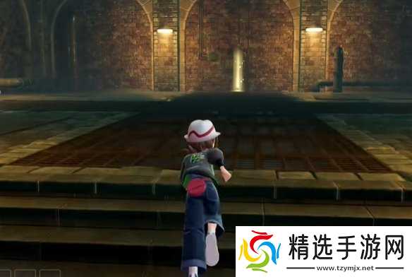 《宝可梦传说ZA》挑衅技能位置介绍