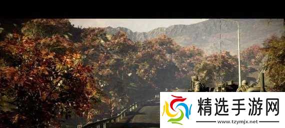 战地(共同作战)