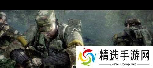 战地(共同作战)