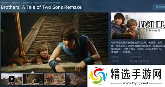 兄弟双子传说重制版能双人玩吗