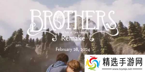 兄弟双子传说重制版能双人玩吗