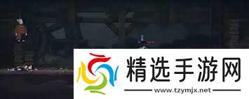 预视武宗猛虎派如何打将军