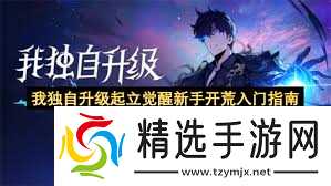 我独自升级起立觉醒游戏开荒攻略怎么玩