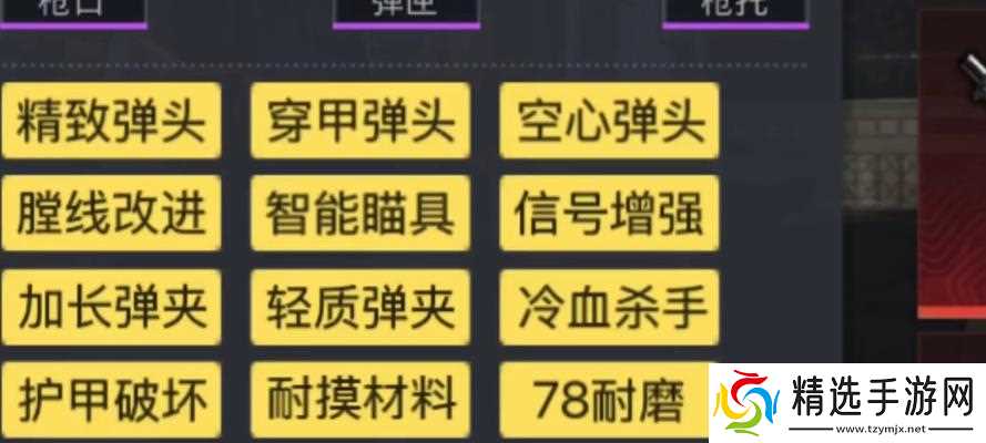 地铁2033秘籍大揭秘（玩转地铁2033）