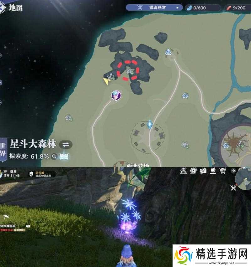 《劫难4星灵草位置解析攻略》（揭秘西方世界中的稀有资源）