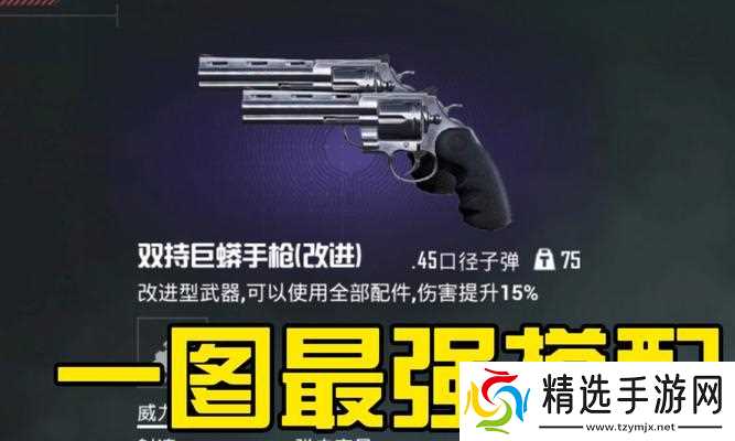 地铁2033秘籍大揭秘（玩转地铁2033）