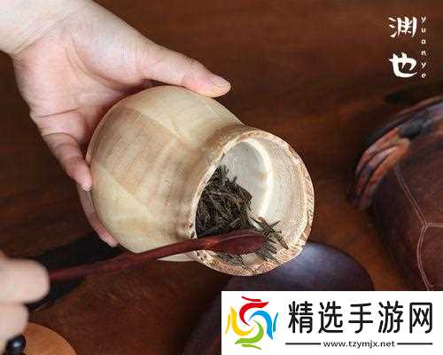 流星蝴蝶剑罐子道具使用方法？