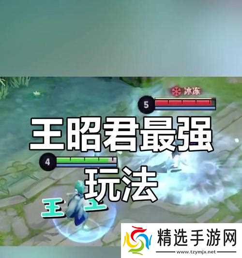 王昭君辅助技巧有哪些？如何提升辅助效率？