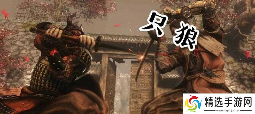 《只狼赤备重吉后期口臭武士位置揭秘》（纵览游戏中赤备重吉的后期位置及特点）