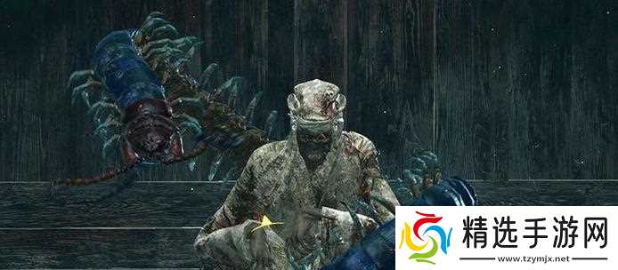 《只狼宝鲤之鳞的神秘威力》（揭秘鳞片的作用与用途）