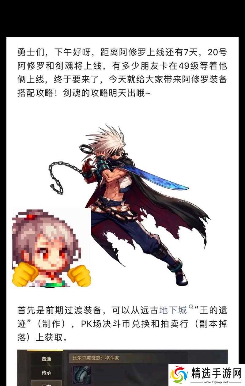 阿修罗带入副本会有什么效果？需要注意什么？