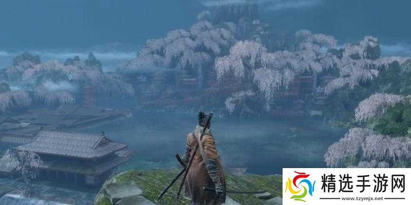 只狼（铁屑刷刷刷）