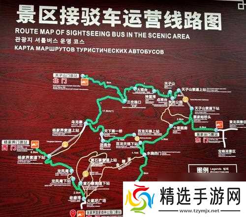 探索未知的森林（解密森林地图）