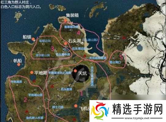 探索未知的森林（解密森林地图）