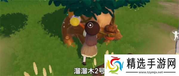 心动小镇1月5日溜溜橡木和无暇荧石采集位置