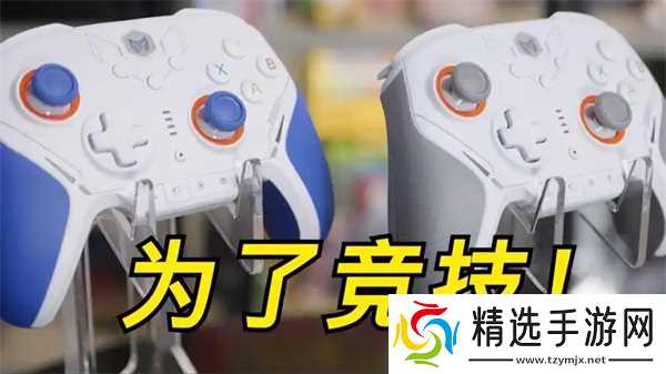 流放之路2手柄选购指南：按需选择，提升游戏体验