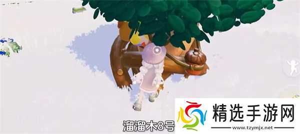 心动小镇1月8日溜溜橡木和无暇荧石采集位置