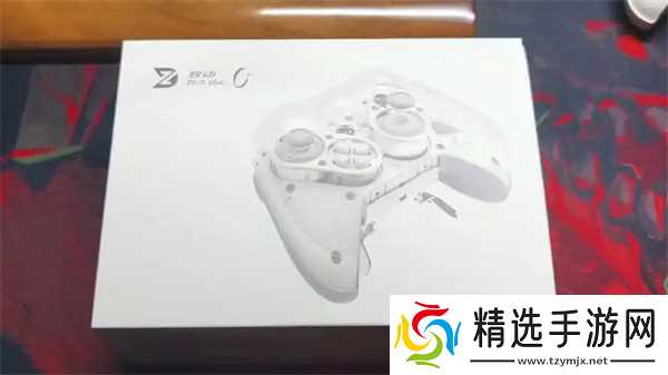 流放之路2手柄选购指南：按需选择，提升游戏体验