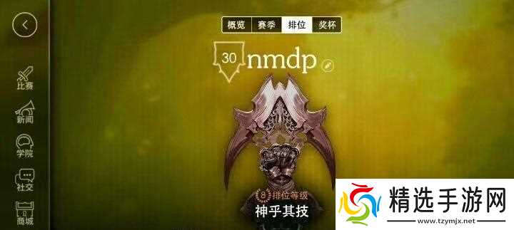 虚荣荣耀攻略(虚荣荣耀游戏荣耀获得攻略)