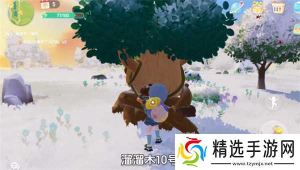 心动小镇1月12日溜溜橡木和无暇荧石采集位置