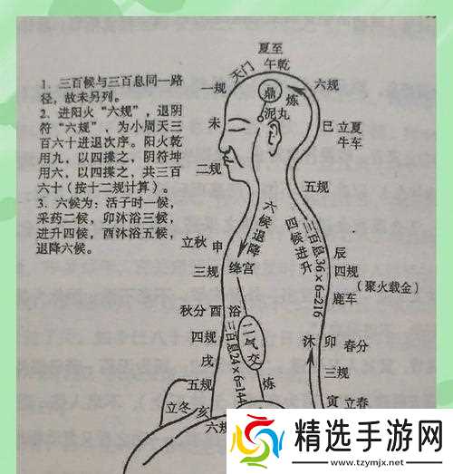 御龙在天仙炉炼丹步骤是什么?如何提高炼丹成功率?