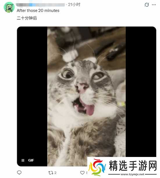 吓哭网友！20分钟清完"所有"二游日常：找个班上吧