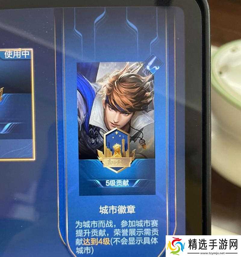 王者荣耀徽章放大功能如何使用?