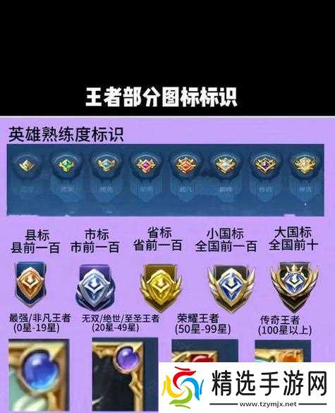 王者荣耀徽章放大功能如何使用?