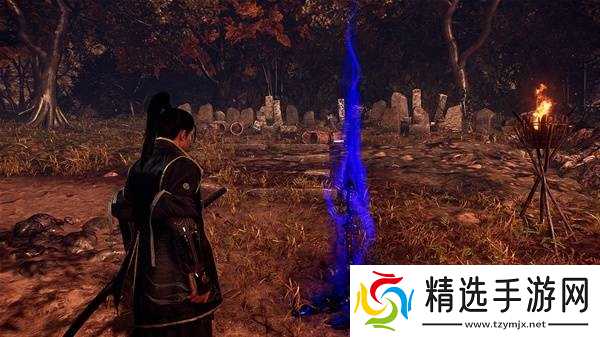 仁王3线上模式介绍