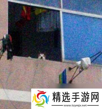 穿越火线新版追房技巧是什么?追房成功后如何继续游戏?