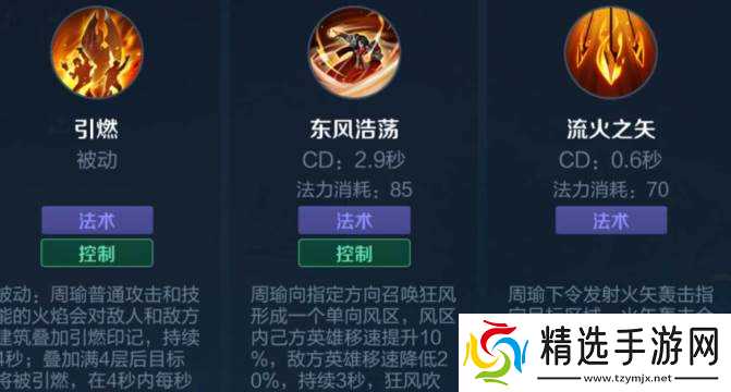 王者荣耀周瑜防刺客