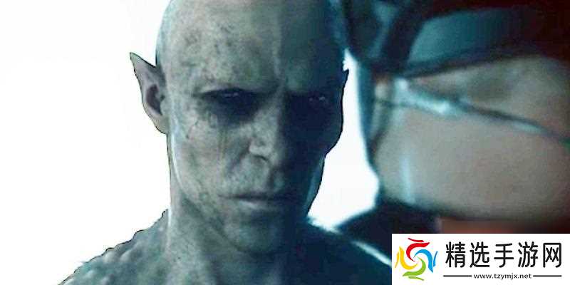 生化危机午餐盒使用方法是什么？