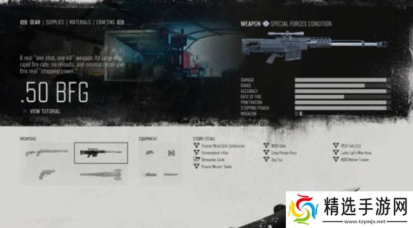 往日不再武器搭配怎么选