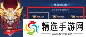 王者荣耀如何获取伐木机器称号