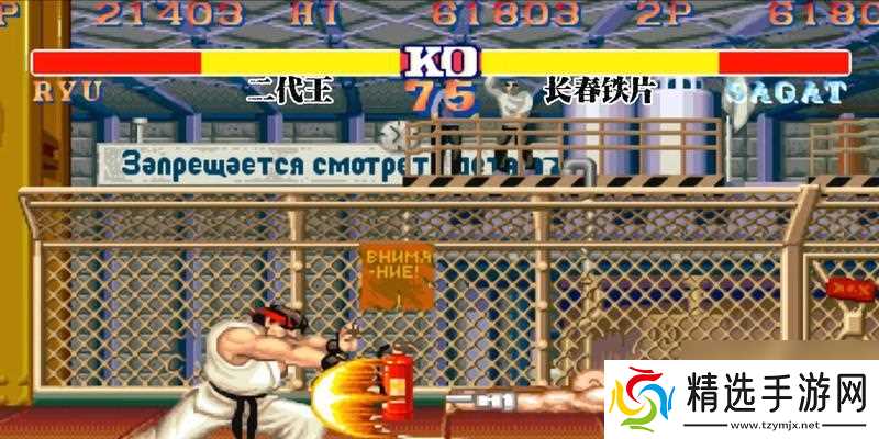 以拳来拳往游戏评测—释放压力与享受对战的乐趣（体验畅快淋漓的休闲解压兼具对战游戏——以拳来拳往）