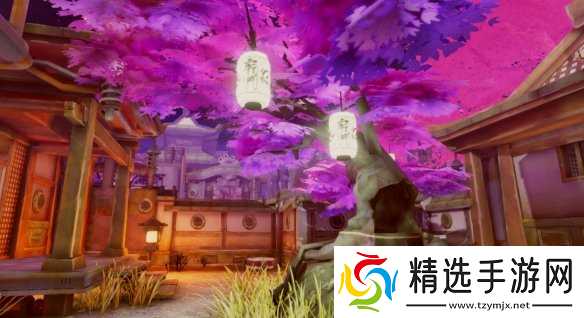 《高等动物》正版购买攻略