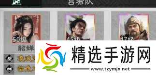 三国天下归心高顺阵容如何搭配