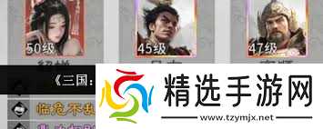 三国天下归心高顺阵容如何搭配