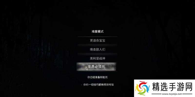 生化危机4难度调整方法是什么？如何设置适合自己的难度？